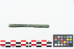 Foto von Bronzearmreif (NHMW-PRAE-025188)